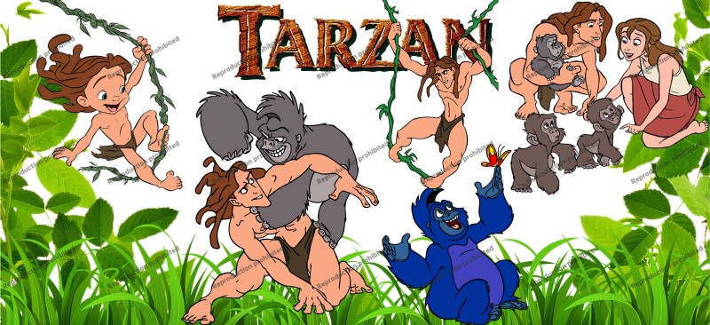 T5-123