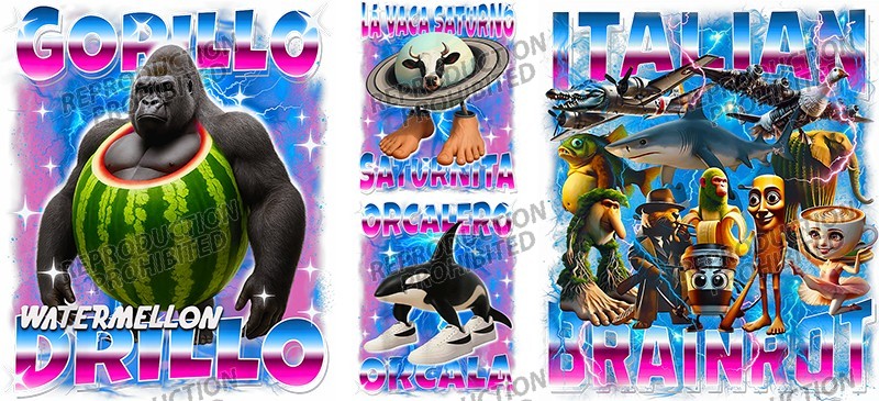 T19-1294