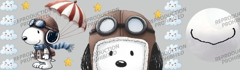 MKD-849