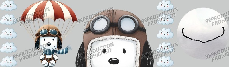 MKD-850