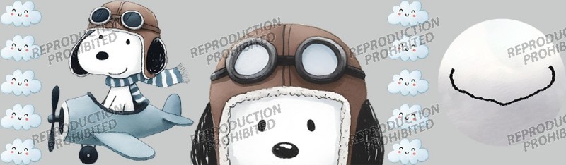MKD-851