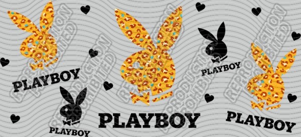DP16-1197.0914
